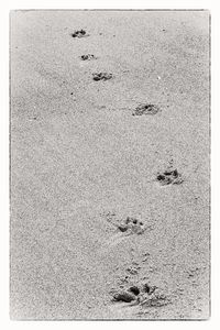 The path to inner peace is to take one step at a time. Always in the moment. The path to inner peace is to take one step at a time. Always in the moment.