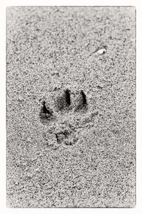 One Gentle Step Toward Inner Peace One Gentle Step Toward Inner Peace