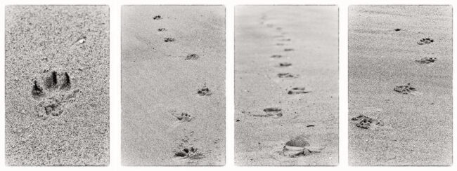 The Deep Joy of Now: Presence Etched in Sand