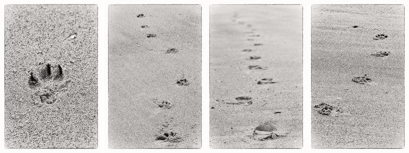 The Deep Joy of Now: Presence Etched in Sand