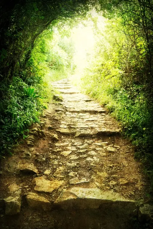 Pathway to the Healing Light